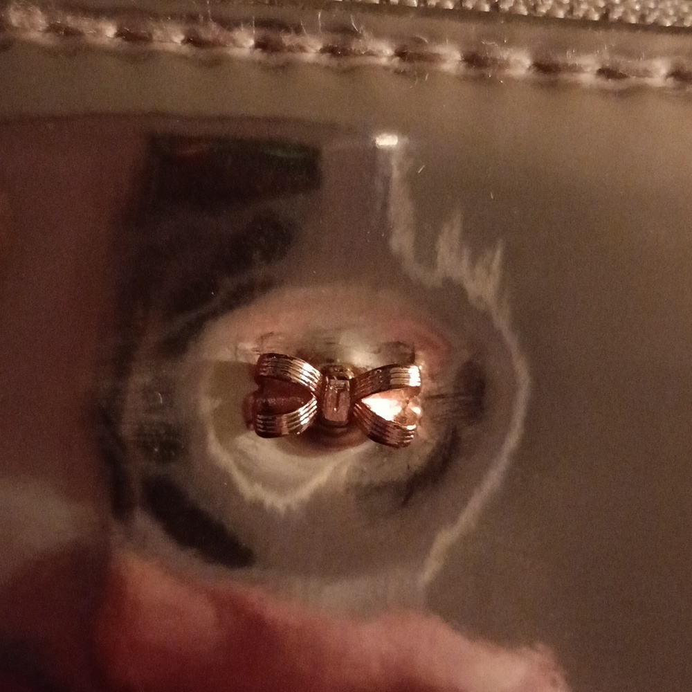 Ted Baker Rose Gold Case View 6